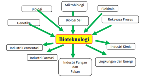 Gambar 1 Bidang Ilmu dalam Bioteknologi.png