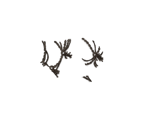 adol2 20250520174326.png