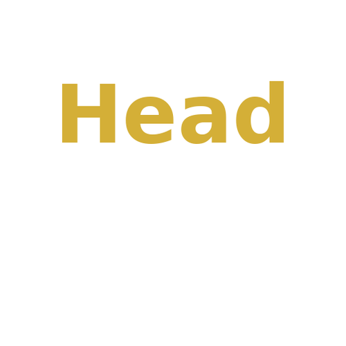 head logo image.png