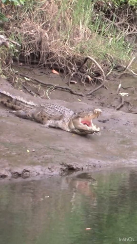 ukM3HZQeW0L wK1t.jpg