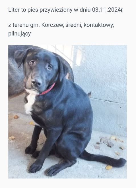 GrPqZlGXYAAESx8.jpg
