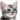 tumblr 4e86ac2609a822fcc0d27b8eb2ff7904 572dc7f4 75.webp