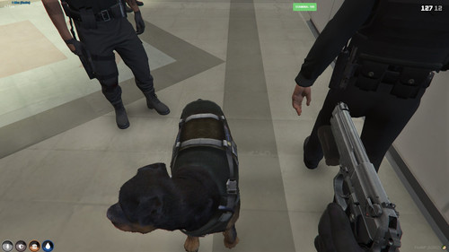 FiveM GTAProcess aI0ipLh1VL.jpg