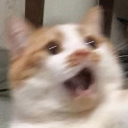 GrMcUJVW4AAa e0.jpg