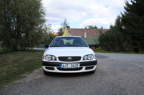 IMG 0585.jpg
