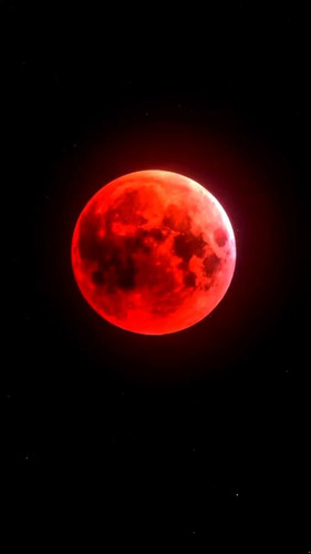 Zp5xDPXJb1VB mHN.jpg