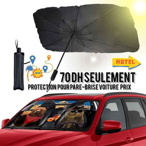 472064301 2894842884004598 2285313230106786859 n.jpg?stp=dst jpg p960x960 tt6& nc cat=110&ccb=1 7& n.jpg