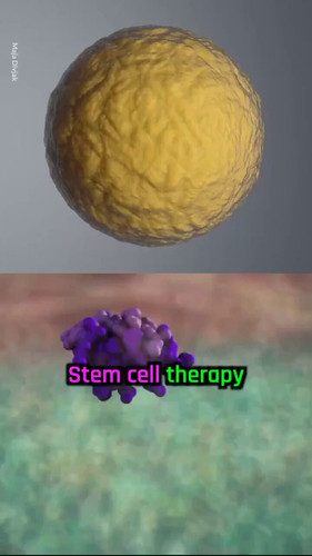 5 f9F4rkvD7Jwm C.jpg