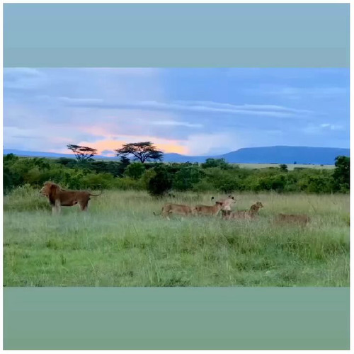 MzAyi750eq0tJFAX.jpg