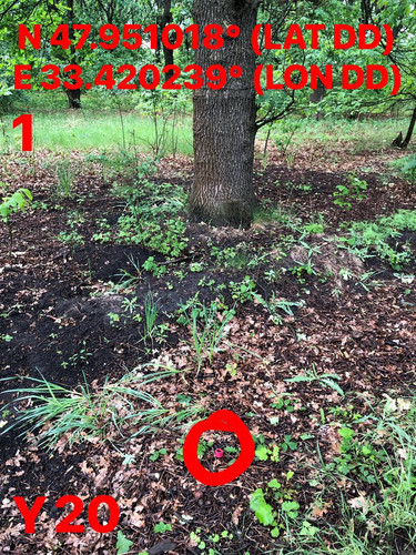 5287398826832947449.jpg