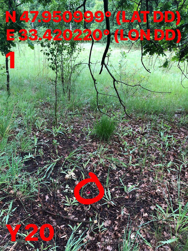5287398826832947450.jpg