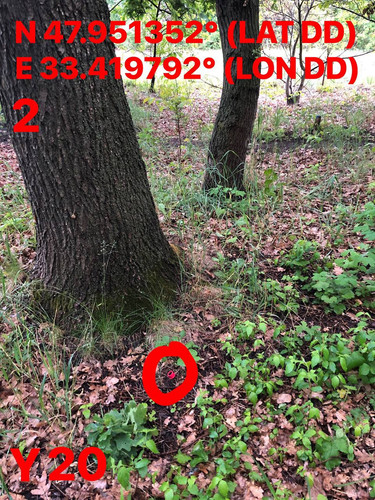 5287398826832947465.jpg