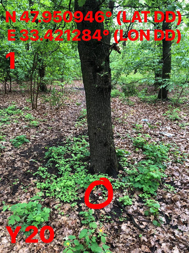 5287398826832947415.jpg