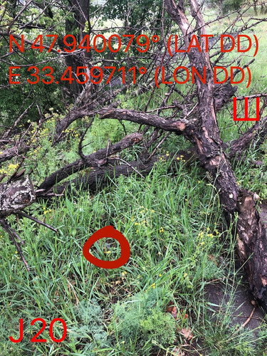 5289597046929615322.jpg