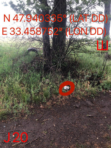 5289597046929615319.jpg