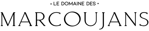 Logo noir copie.png