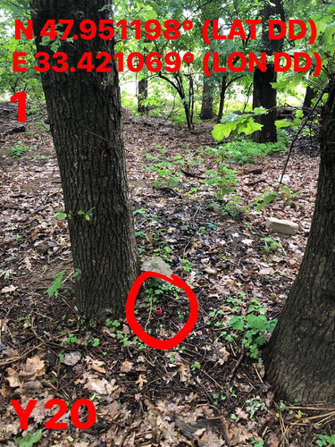 5287398826832947421.jpg