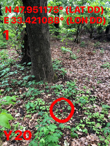 5287398826832947422.jpg