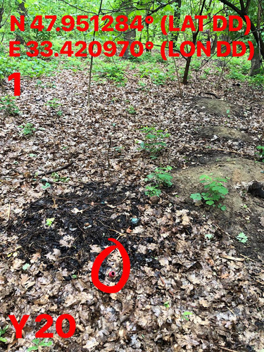 5287398826832947424.jpg