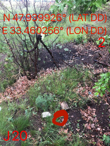 5289597046929615327.jpg