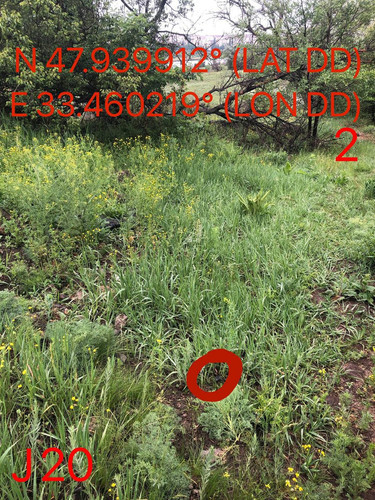 5289597046929615326.jpg