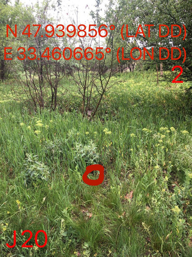 5289597046929615329.jpg