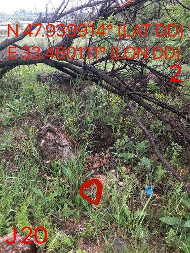 5289597046929615325.jpg