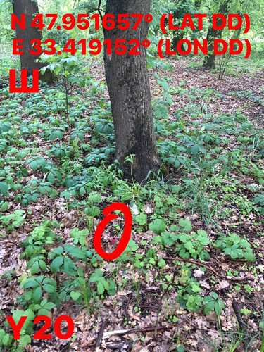 5287398826832947472.jpg