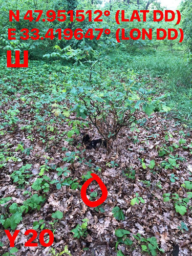 5287398826832947466.jpg