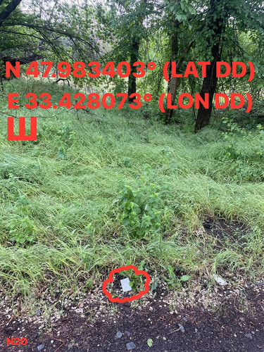 5287537180614455177.jpg