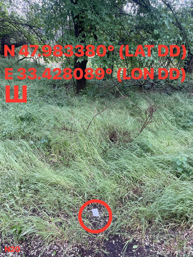 5287537180614455178.jpg