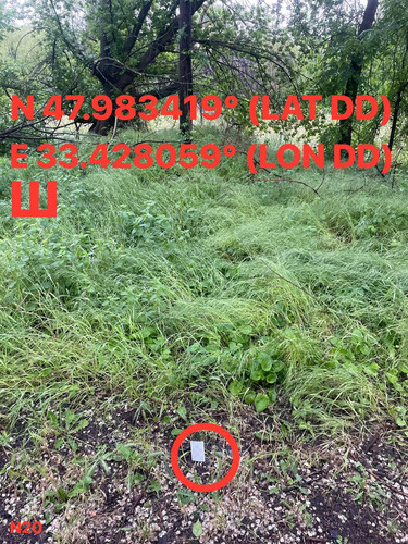5287537180614455176.jpg