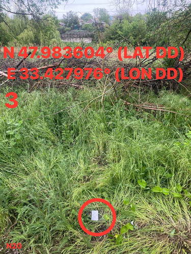 5287537180614455183.jpg