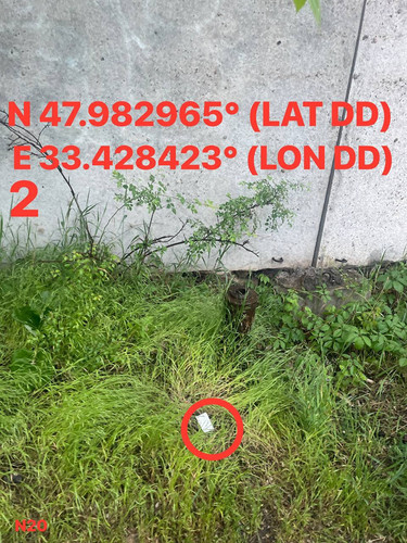 5287696545375972785.jpg