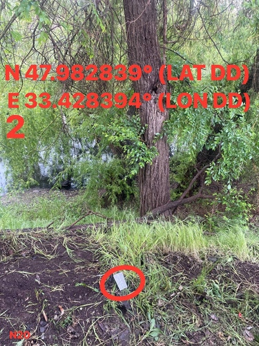 5287537180614455198.jpg