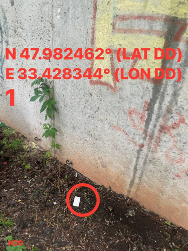 5287537180614455214.jpg
