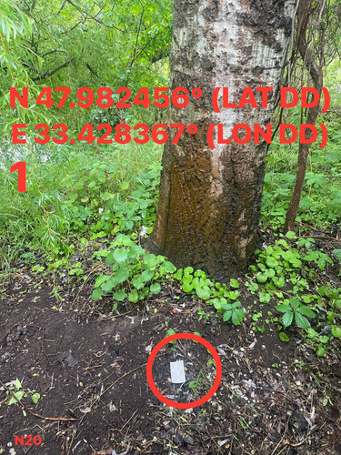 5287537180614455206.jpg