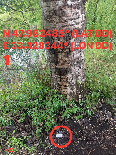 5287537180614455205.jpg