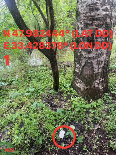 5287537180614455212.jpg