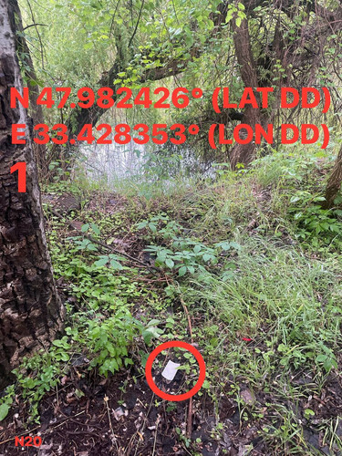 5287537180614455210.jpg