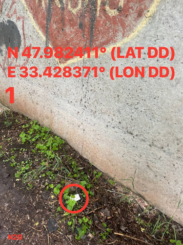 5287537180614455215.jpg