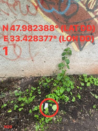 5287537180614455226.jpg