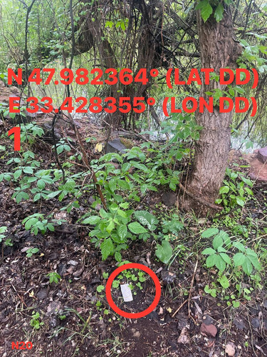 5287537180614455223.jpg