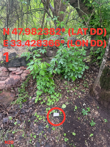 5287537180614455221.jpg
