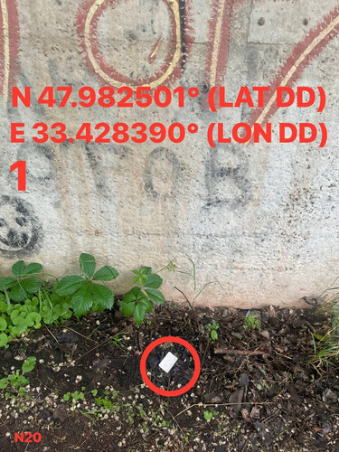 5287696545375972787.jpg