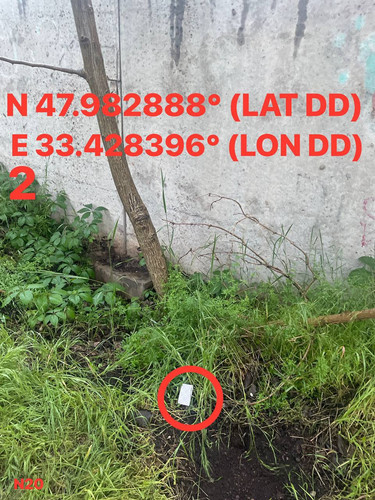 5287537180614455190.jpg