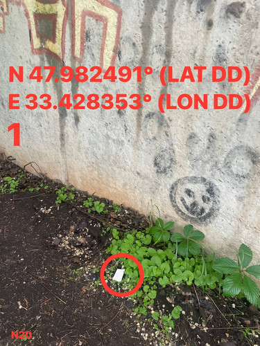 5287696545375972788.jpg