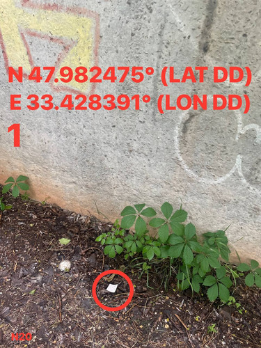 5287537180614455207.jpg