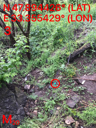 5287489910204394126.jpg