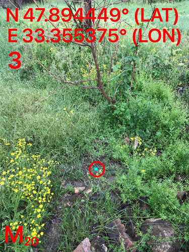5287489910204394125.jpg